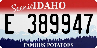 ID license plate E389947
