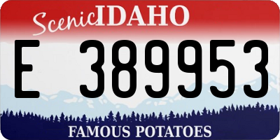 ID license plate E389953