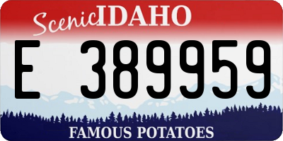 ID license plate E389959