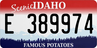 ID license plate E389974