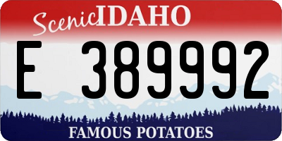 ID license plate E389992
