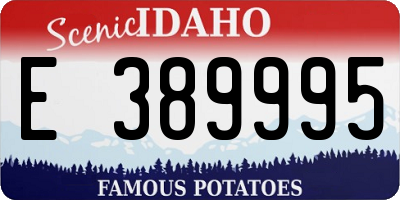 ID license plate E389995