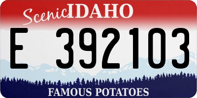 ID license plate E392103