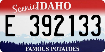 ID license plate E392133