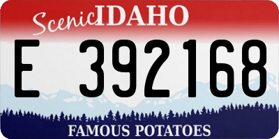ID license plate E392168