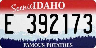 ID license plate E392173