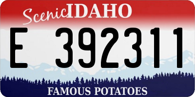 ID license plate E392311