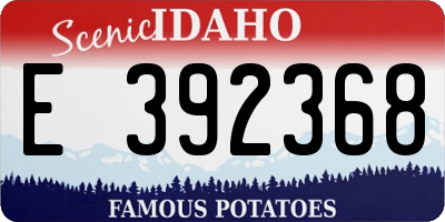 ID license plate E392368