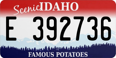 ID license plate E392736