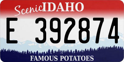 ID license plate E392874
