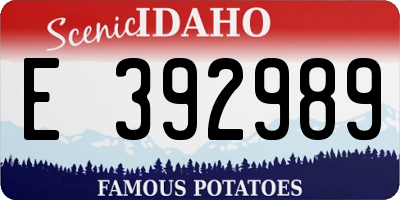 ID license plate E392989