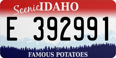ID license plate E392991