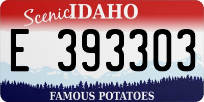 ID license plate E393303