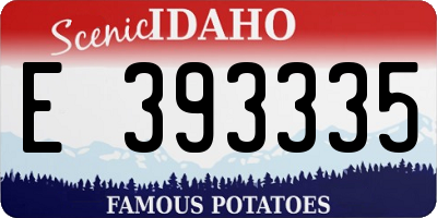 ID license plate E393335