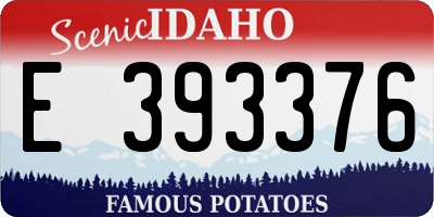 ID license plate E393376