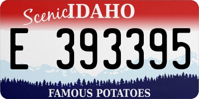 ID license plate E393395
