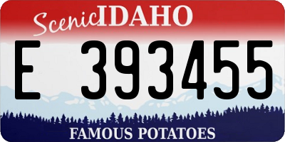 ID license plate E393455
