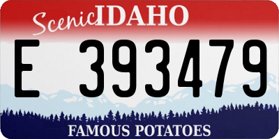 ID license plate E393479