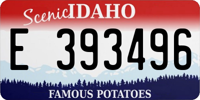 ID license plate E393496