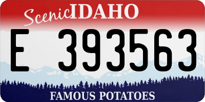ID license plate E393563