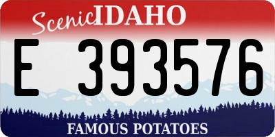 ID license plate E393576