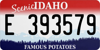 ID license plate E393579