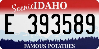 ID license plate E393589