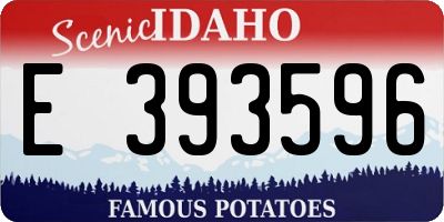 ID license plate E393596