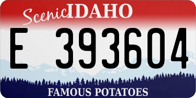 ID license plate E393604