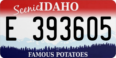 ID license plate E393605