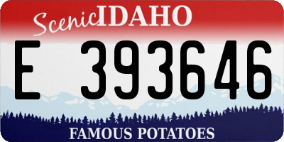 ID license plate E393646