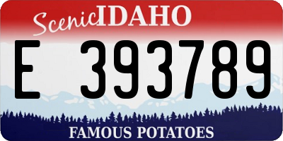 ID license plate E393789