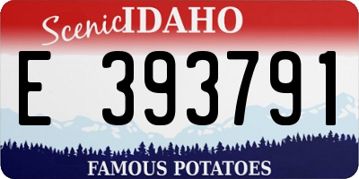 ID license plate E393791