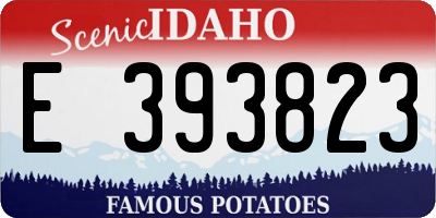 ID license plate E393823