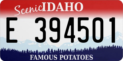 ID license plate E394501