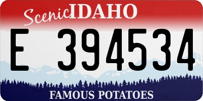 ID license plate E394534