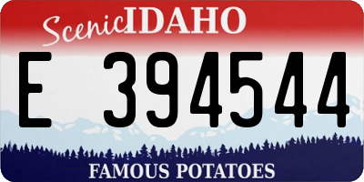 ID license plate E394544