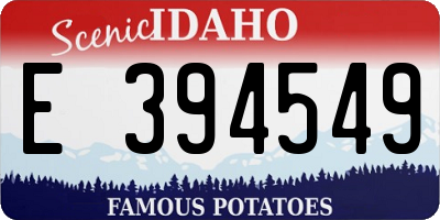 ID license plate E394549