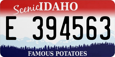 ID license plate E394563