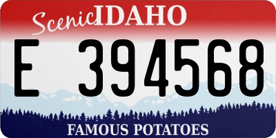 ID license plate E394568
