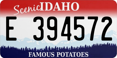 ID license plate E394572