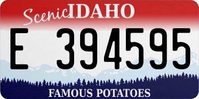 ID license plate E394595