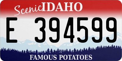ID license plate E394599
