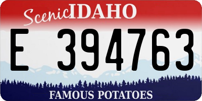 ID license plate E394763