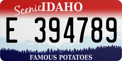 ID license plate E394789