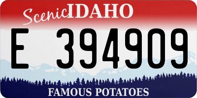 ID license plate E394909