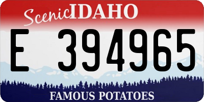 ID license plate E394965