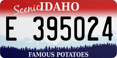 ID license plate E395024