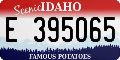 ID license plate E395065