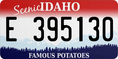 ID license plate E395130